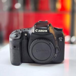 stock